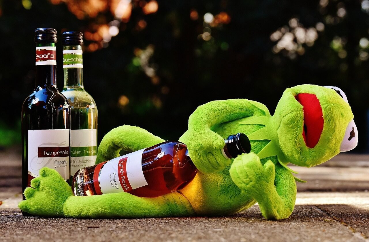 kermit, frog, wine, drink, alcohol, drunk, relax, to sit, figure, nature, fun, frogs, animal, plush, stuffed animal, france, spain, germany, wine bottle